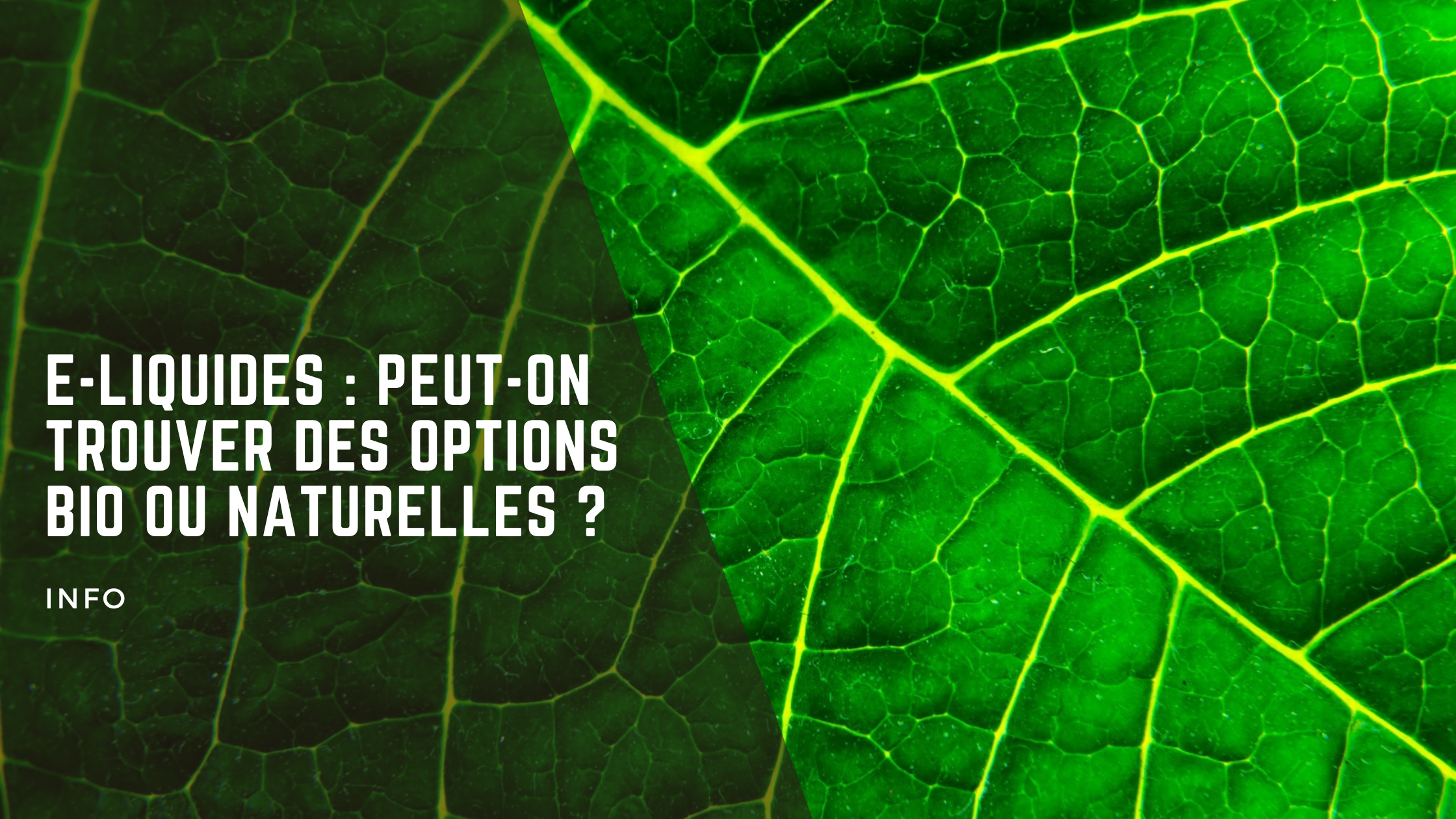 E liquides Bio